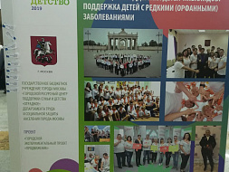 Вектор детства Вектор детства